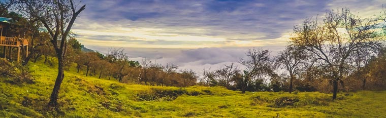 Kodaikanal